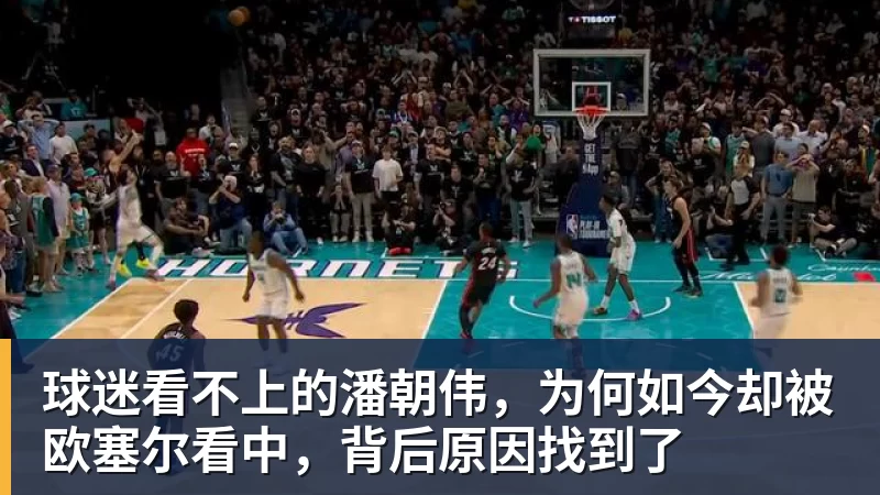 球迷看不上的潘朝伟，为何如今却被欧塞尔看中，背后原因找到了